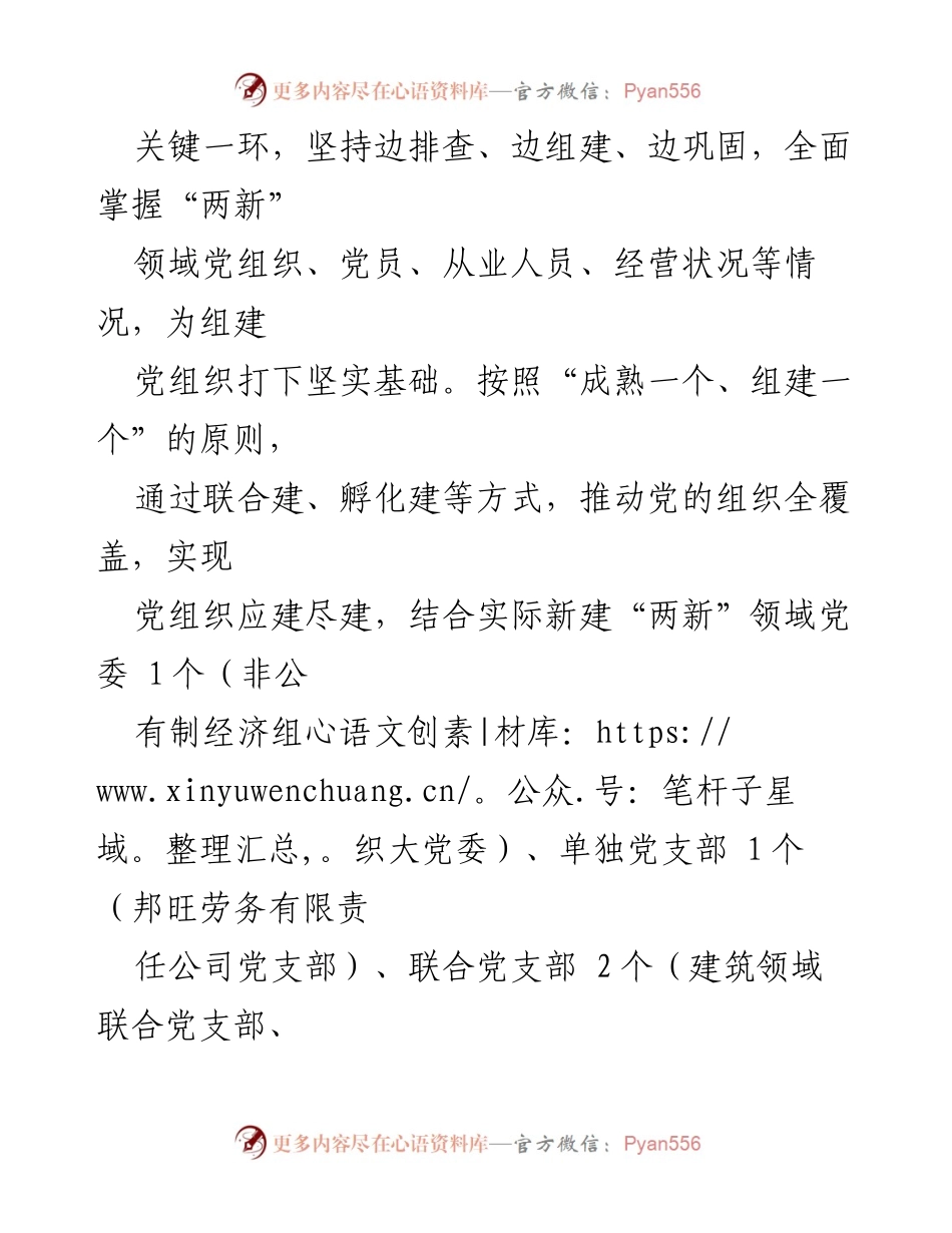 [典型材料] 党建工作会议 - 县“两新”领域党组织推动基层党建“书记项目”落地见效.docx_第2页