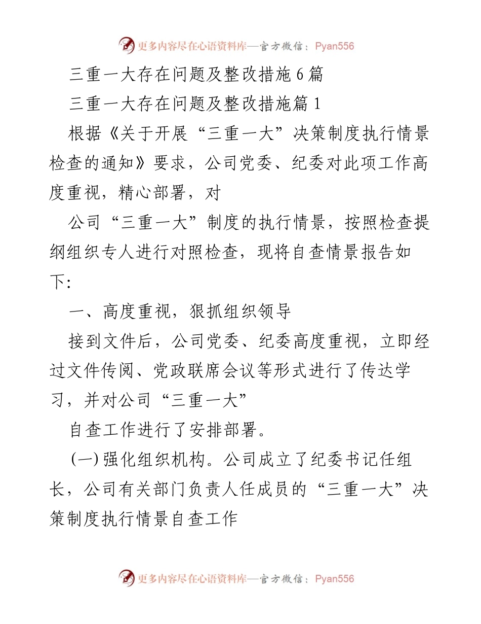[调研报告] 公司自查 - 三重一大制度执行自查及整改措施报告.docx_第1页