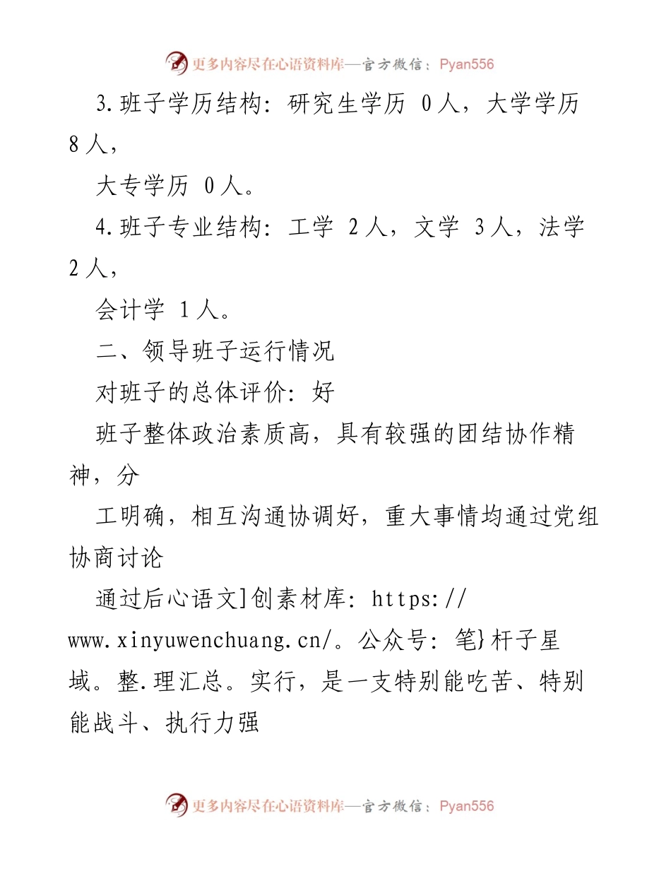 [调研报告] XX局领导班子分析 - XX局领导班子运行及结构分析报告.docx_第2页