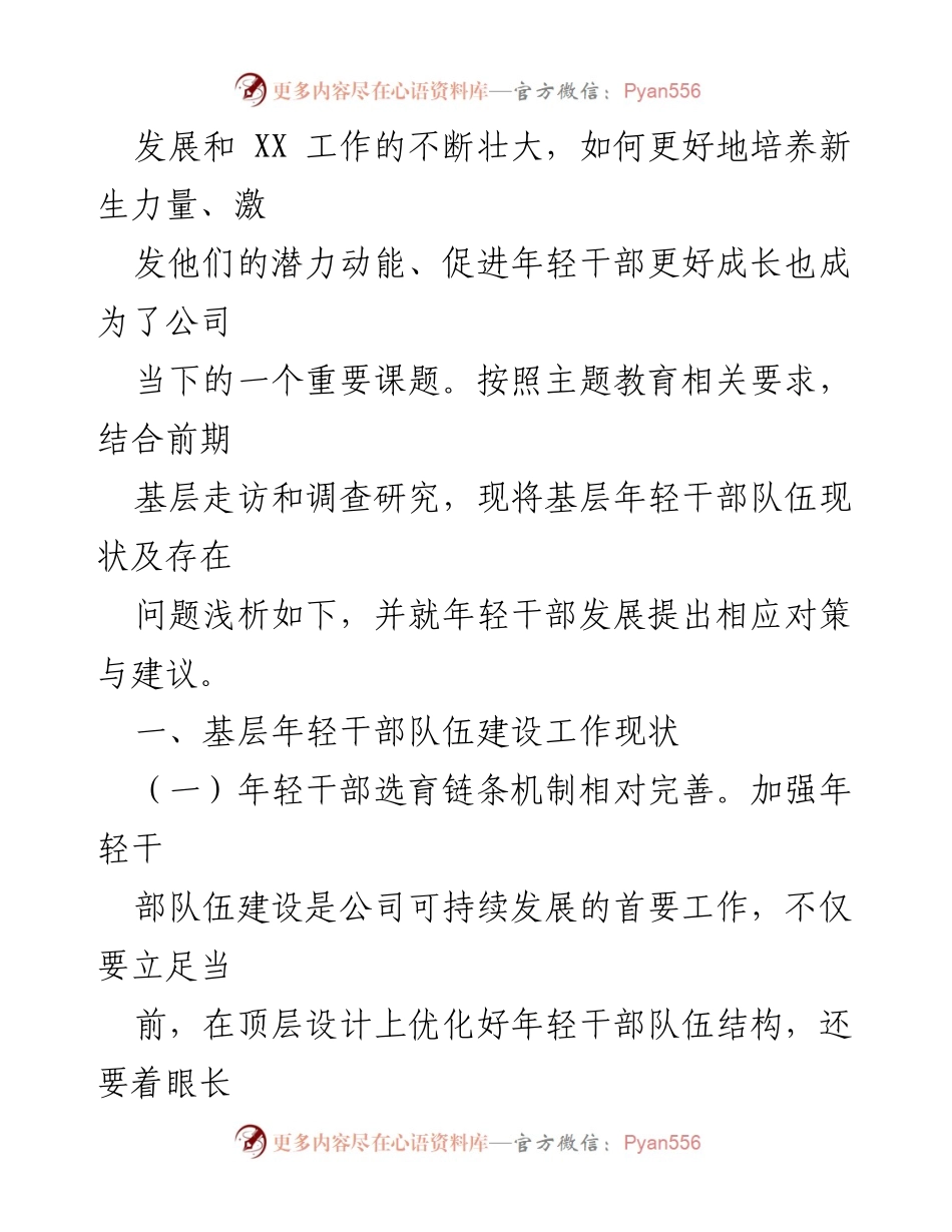 [调研报告] 国企年轻干部队伍建设 - 基层年轻干部现状与发展对策分析.docx_第2页