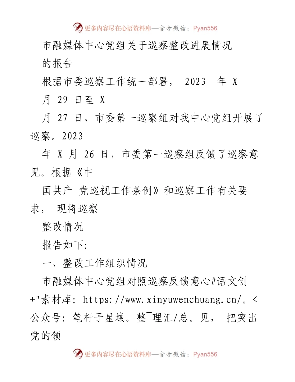 [报告] 巡察整改 - 市融媒体中心党组巡察整改进展情况报告.docx_第1页