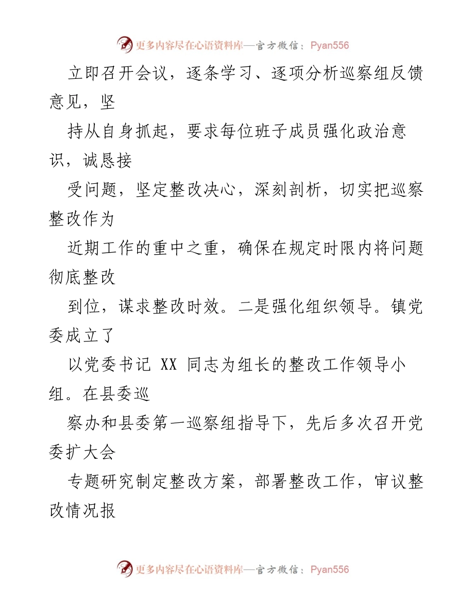 [报告] 巡察整改 - XX镇巡察整改进展情况报告.docx_第2页