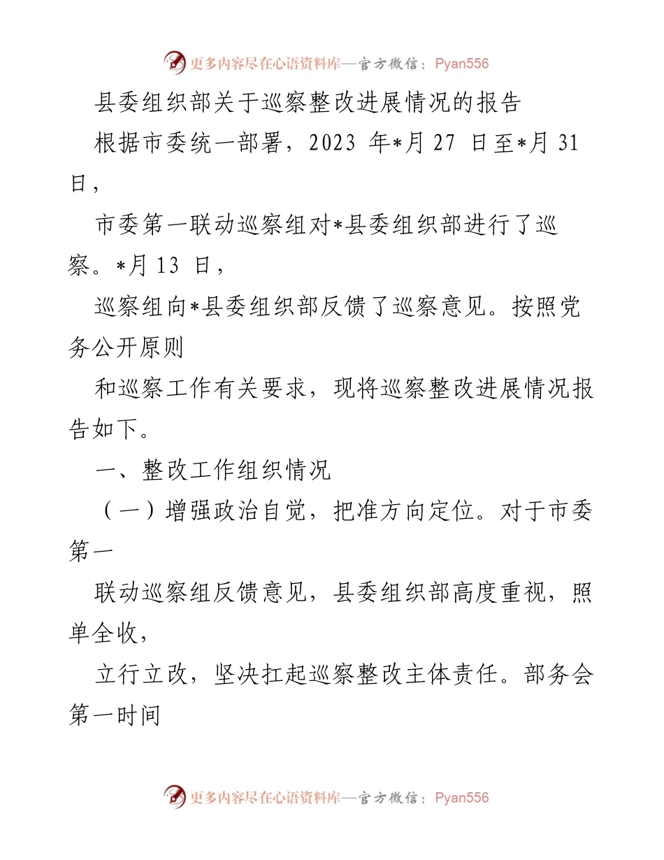 [报告] 巡察整改 - 巡察整改进展情况报告.docx_第1页