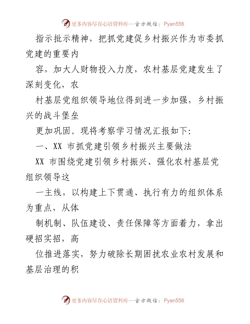 [调研报告] 党建引领乡村振兴考察 - XX市党建引领乡村振兴工作考察学习情况汇报.docx_第2页