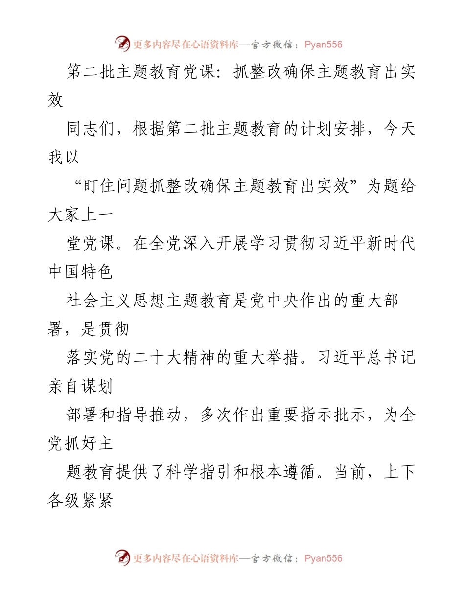 [党课] 第二批主题教育 - 确保主题教育实效的整改措施.docx_第1页