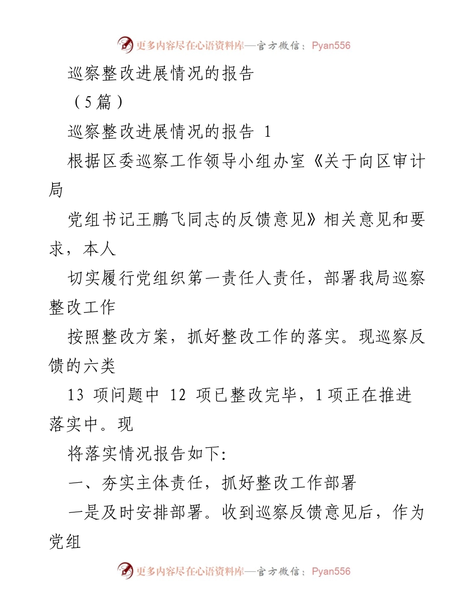 [报告] 巡察整改 - 巡察整改进展情况报告_2.docx_第1页