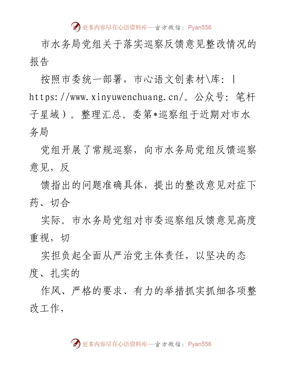 [报告] 巡察整改 - 市水务局党组巡察反馈意见整改情况报告.docx_第1页