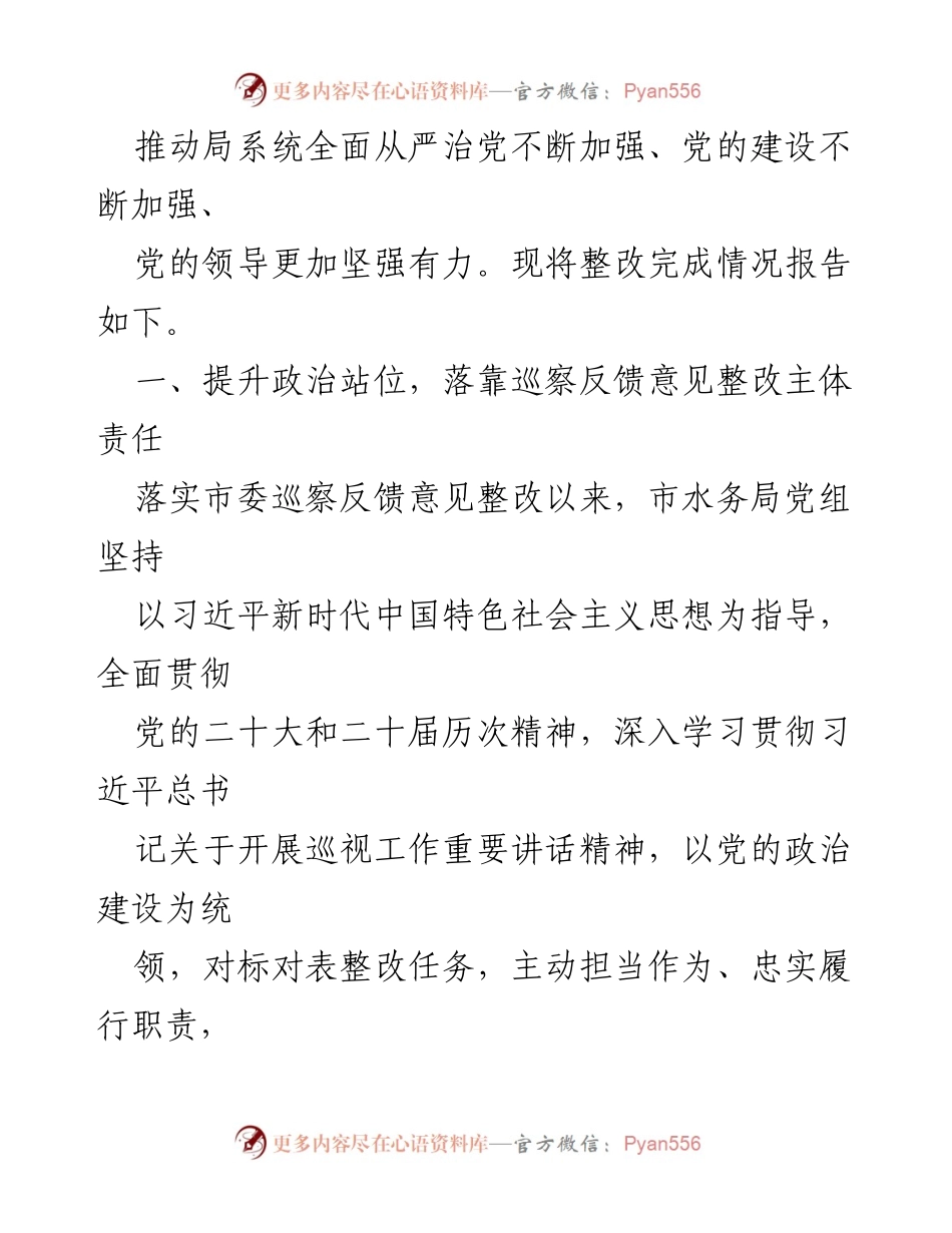 [报告] 巡察整改 - 市水务局党组巡察反馈意见整改情况报告.docx_第2页