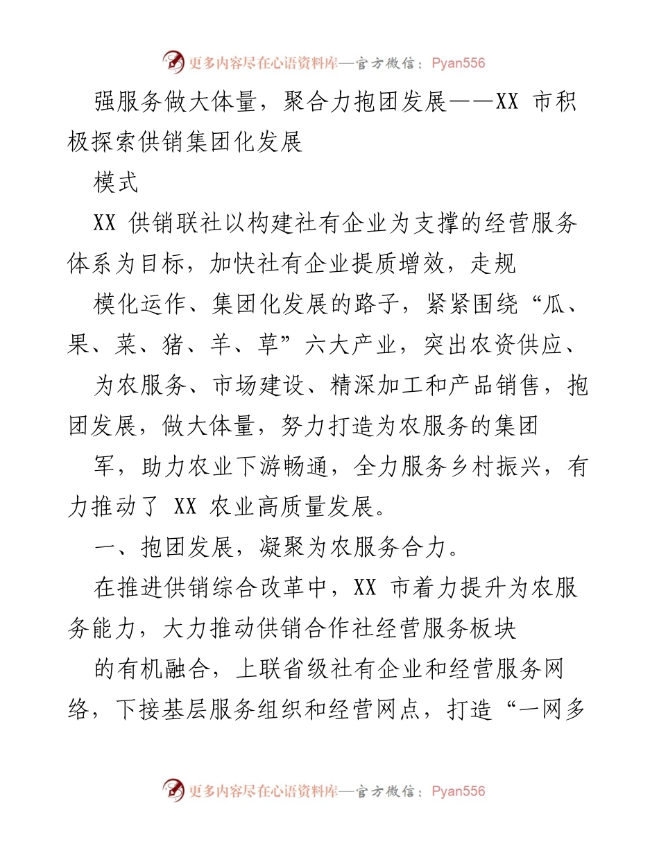 [调研报告] 供销集团化发展 - XX市供销集团化发展模式探讨与实践.docx_第1页