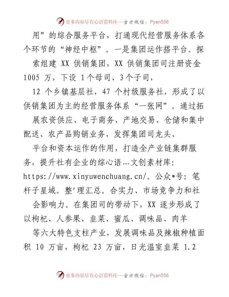 [调研报告] 供销集团化发展 - XX市供销集团化发展模式探讨与实践.docx_第2页