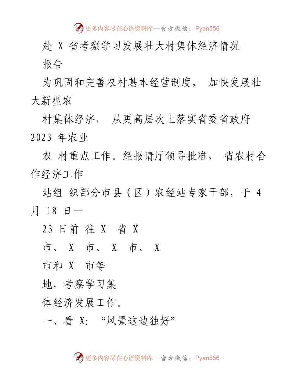 [报告] 考察学习 - X省村集体经济发展考察报告.docx_第1页