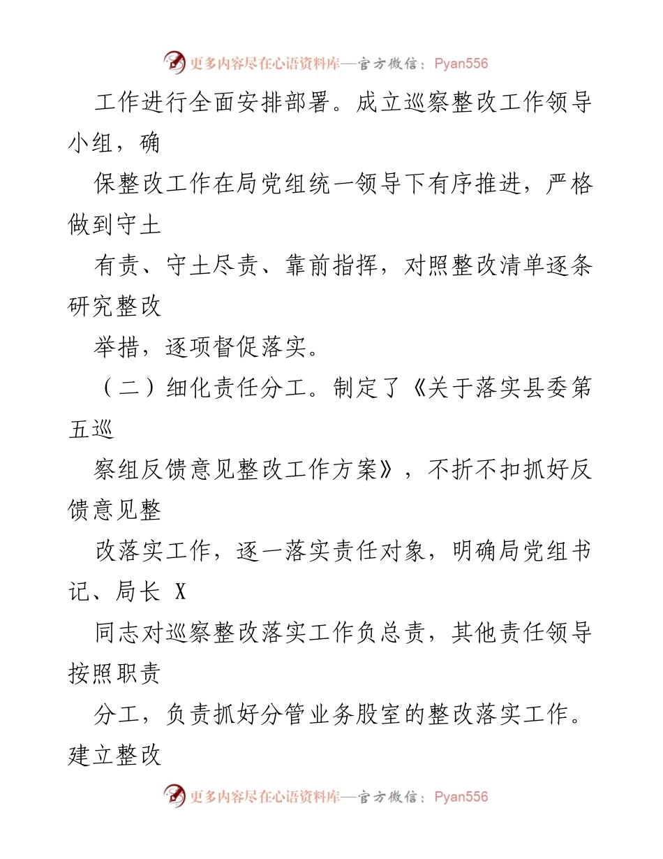 [报告] 巡察整改 - 县审计局党组巡察整改情况报告_1.docx_第2页
