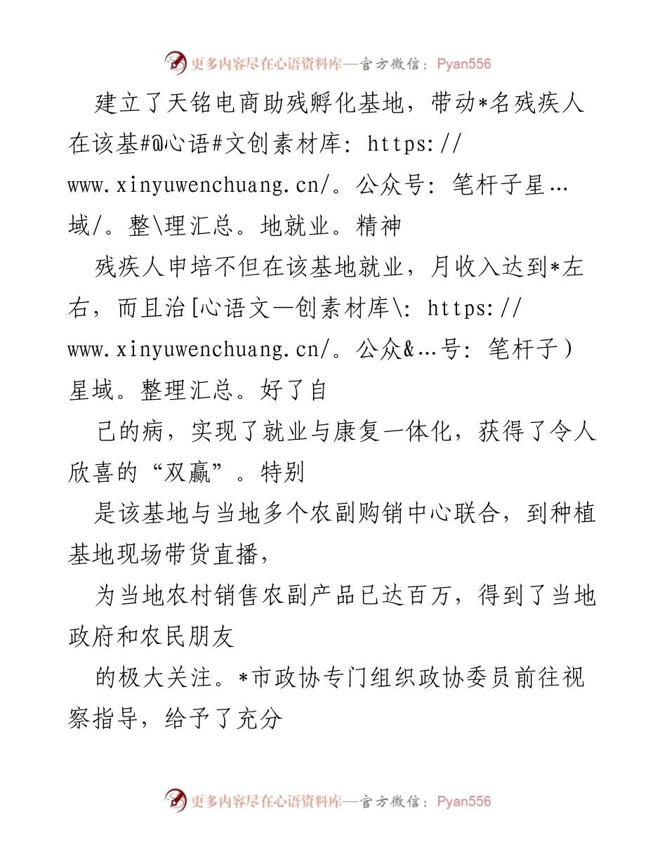 [调研报告] 残疾人就业 - 电子商务助力残疾人就业的实践与成效.docx_第2页