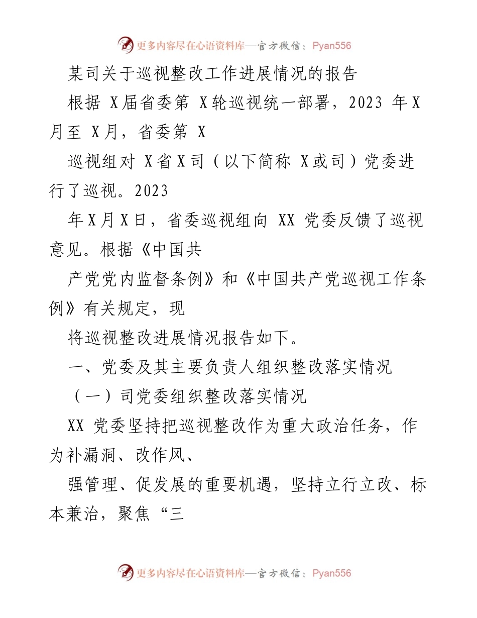 [报告] 巡视整改工作 - 某司巡视整改工作进展情况报告.docx_第1页