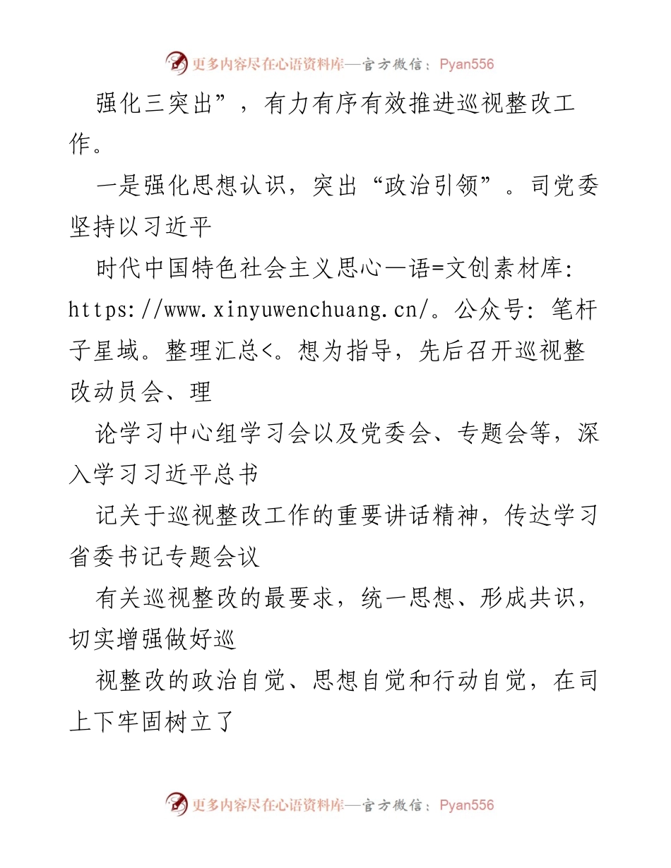[报告] 巡视整改工作 - 某司巡视整改工作进展情况报告.docx_第2页