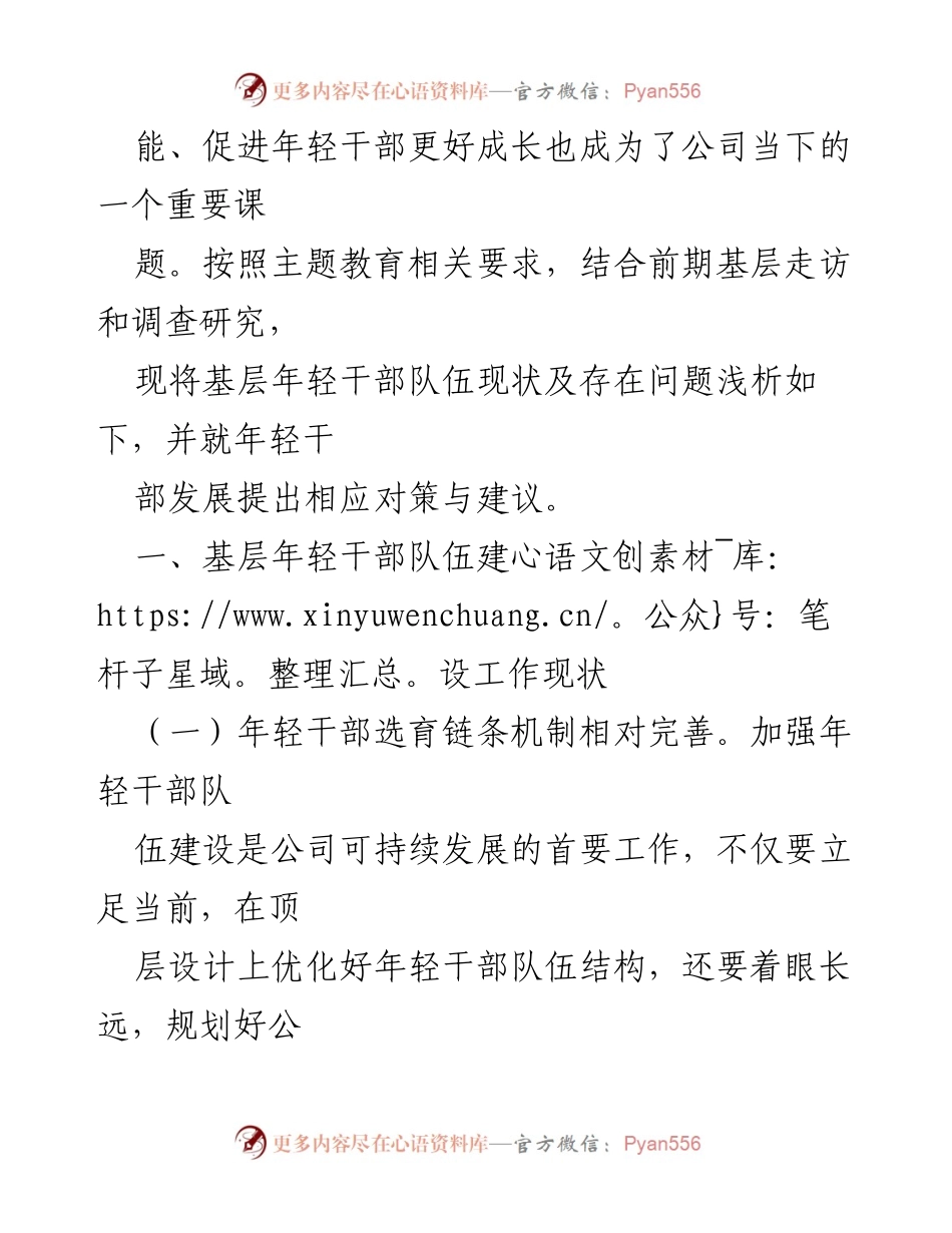 [调研报告] 国企年轻干部队伍建设 - 基层年轻干部现状及发展对策分析.docx_第2页