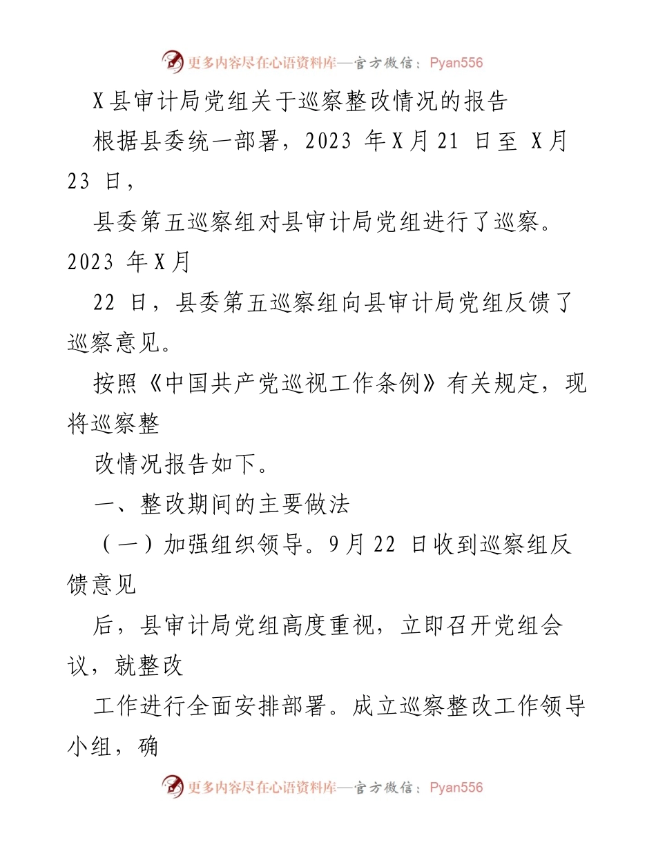 [报告] 巡察整改 - X县审计局党组巡察整改情况报告.docx_第1页