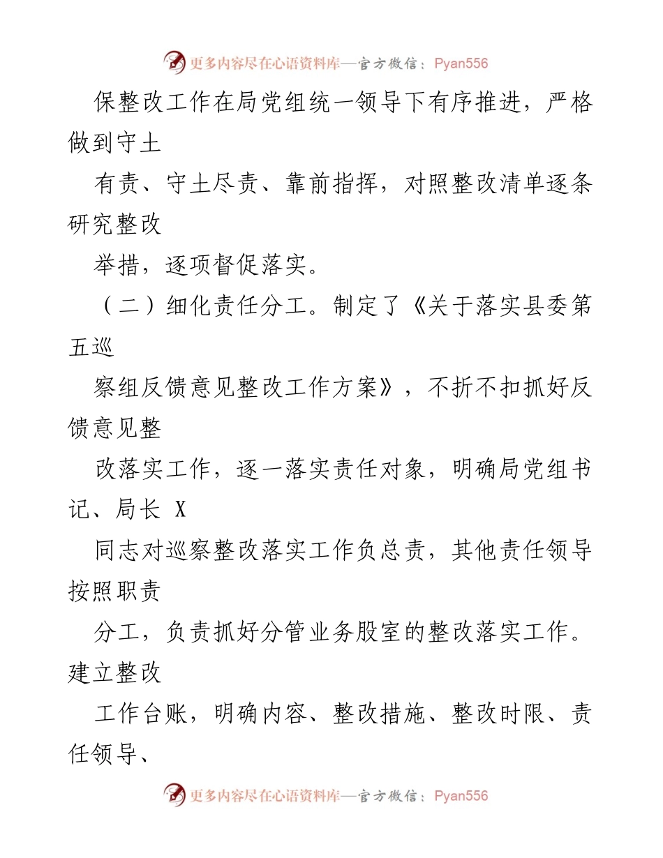 [报告] 巡察整改 - X县审计局党组巡察整改情况报告.docx_第2页