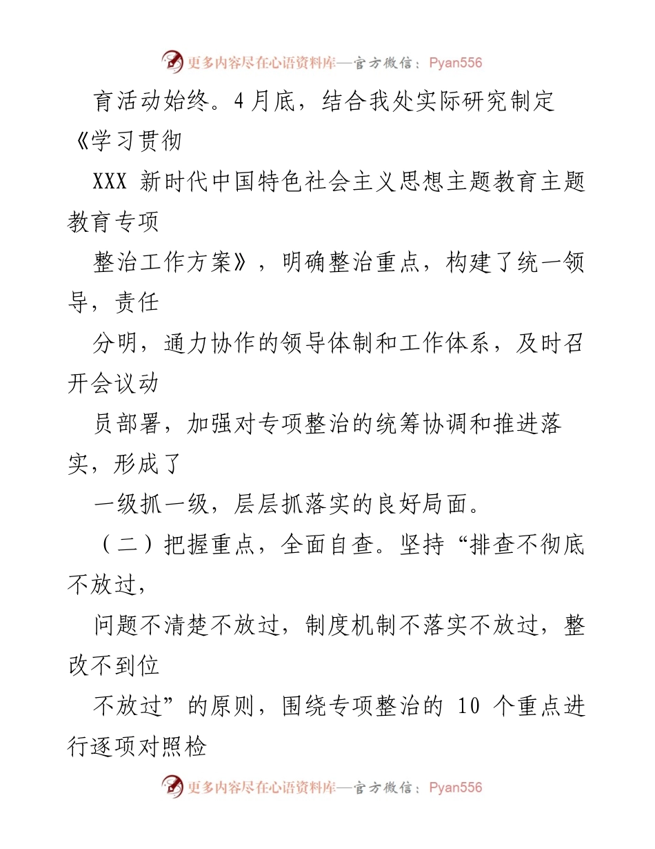 [报告] 工作总结 - 主题教育专项整治工作开展情况总结.docx_第2页