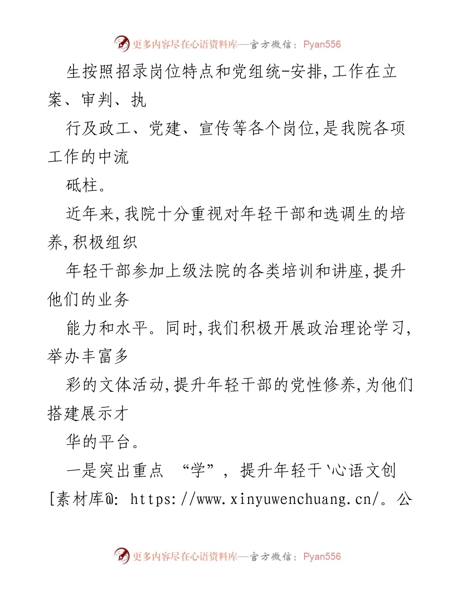 [调研报告] 法院 - 关于年轻干部队伍建设的调研与建议.docx_第2页