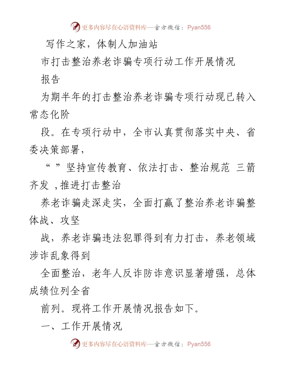 [报告] 专项行动总结 - 市打击整治养老诈骗专项行动工作开展情况总结报告.docx_第1页