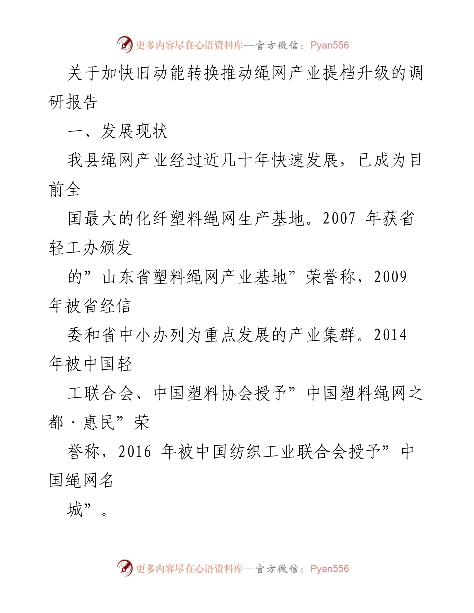[调研报告] 产业升级 - 加快旧动能转换，推动绳网产业提档升级的策略分析.docx_第1页
