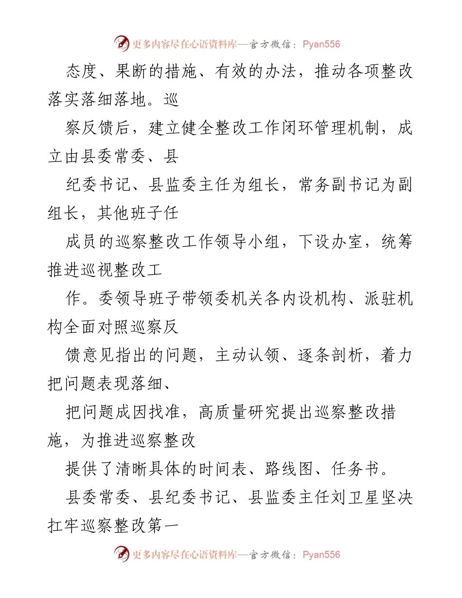 [报告] 巡察整改 - 市委提级巡察整改进展情况报告.docx_第2页