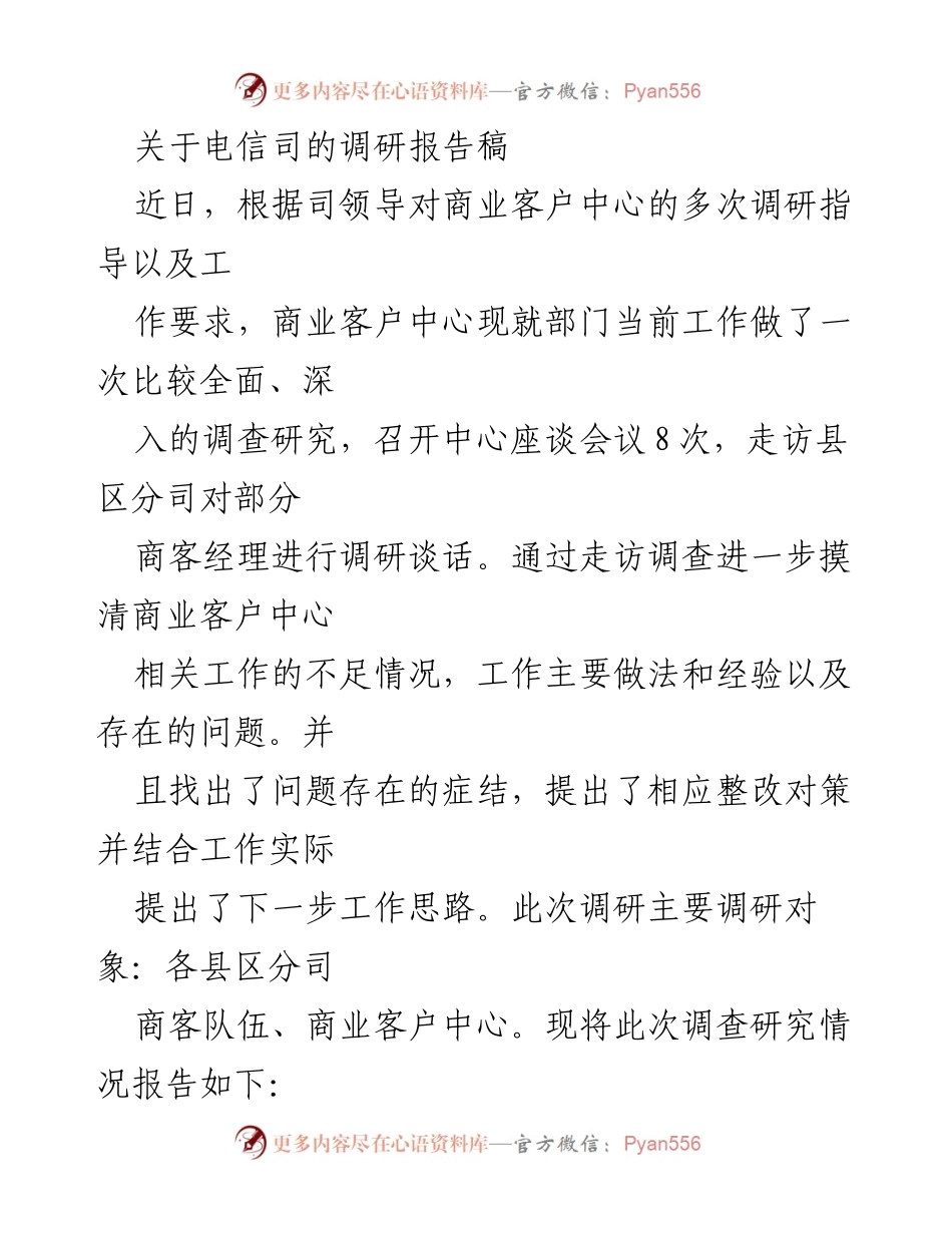 [调研报告] 电信行业 - 商业客户中心调研报告及整改建议.docx_第1页