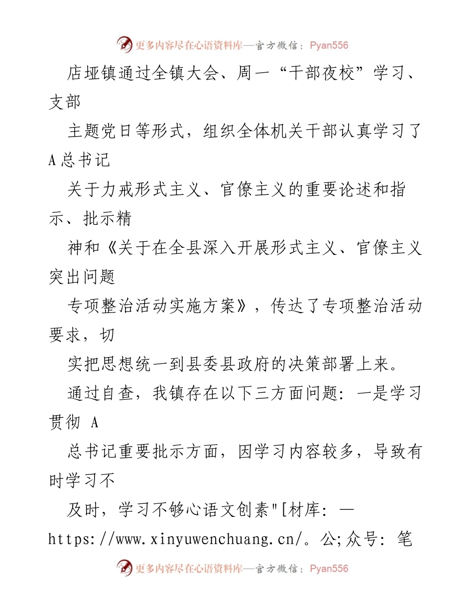 [报告] 自查活动 - 关于形式主义、官僚主义问题的自查与整改措施报告.docx_第2页
