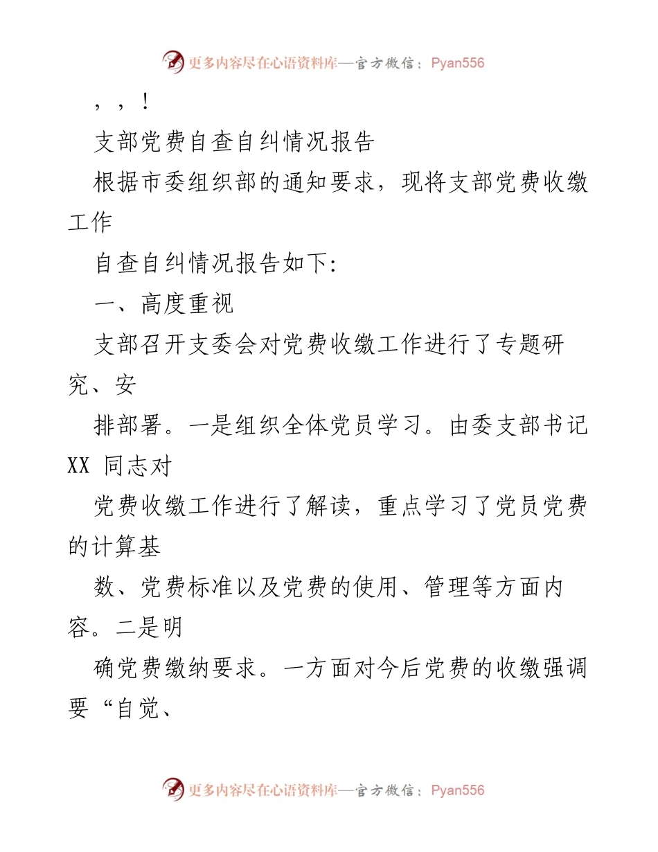 [报告] 支部党费自查自纠情况报告.docx_第1页