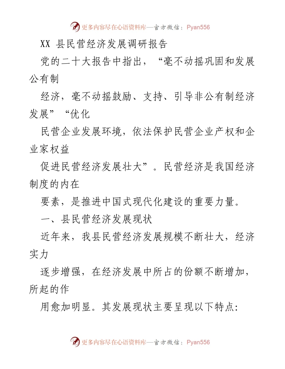 [调研报告] XX县民营经济发展 - XX县民营经济发展现状与成就分析.docx_第1页