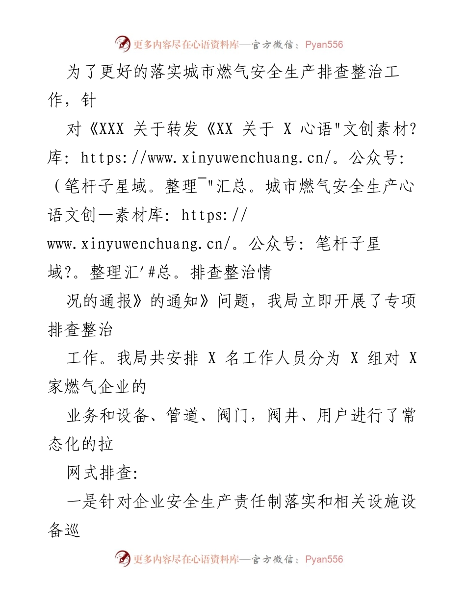 [报告] 燃气安全管理 - 城市燃气安全生产排查整治情况报告.docx_第2页
