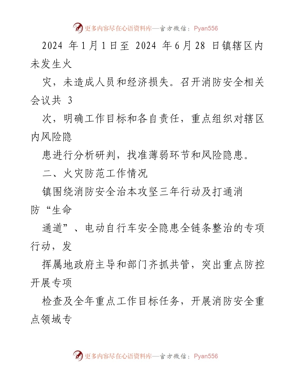 [报告] 镇人民政府 - 2024年上半年消防安全形势分析与工作总结.docx_第2页