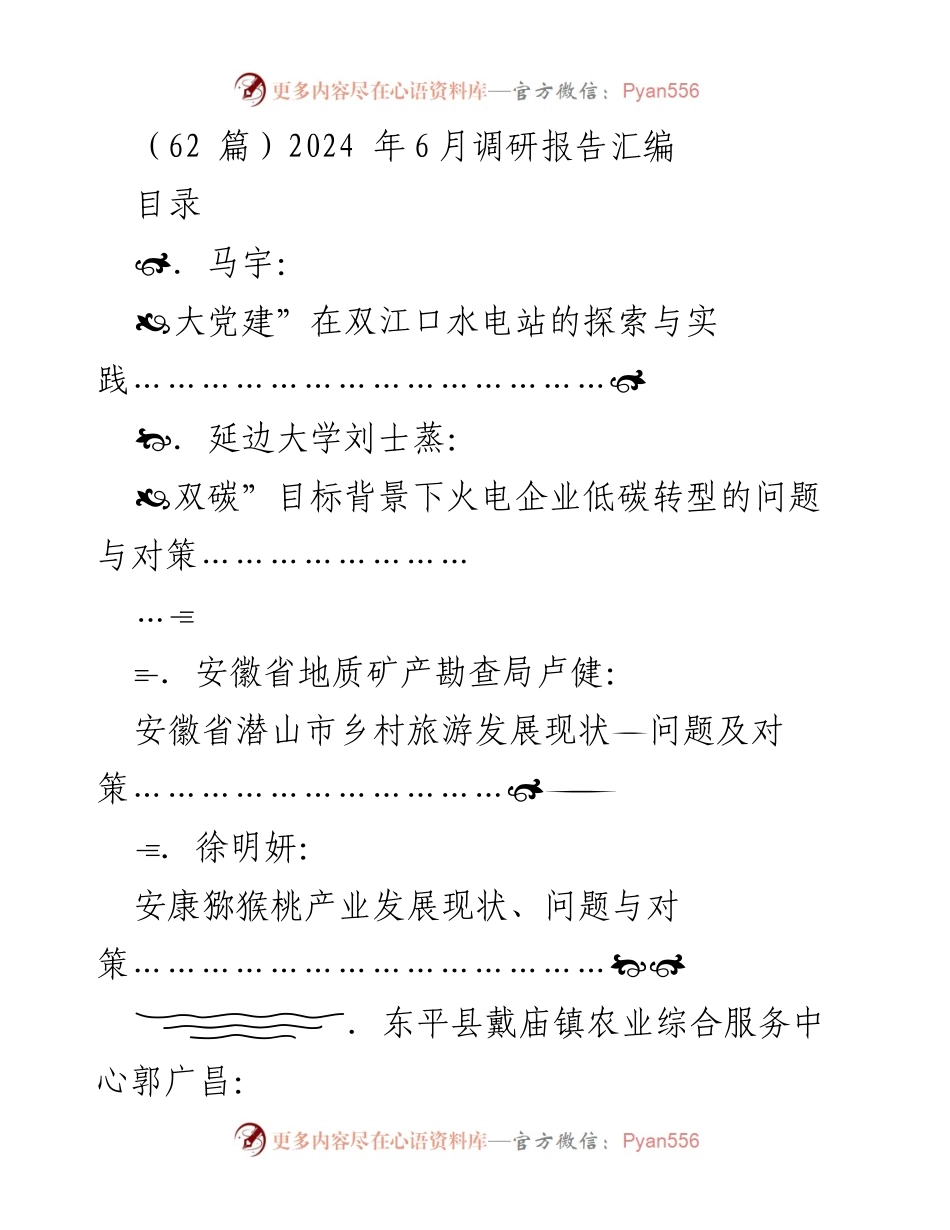 [调研报告] 2024年6月调研总结 - 多领域发展现状与对策研究汇编.docx_第1页