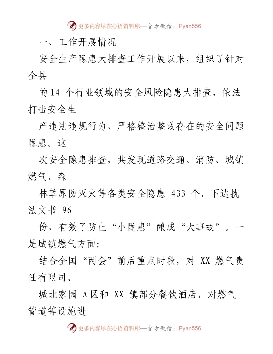[报告] 安全生产 - 安全生产风险隐患大排查工作开展情况报告.docx_第2页