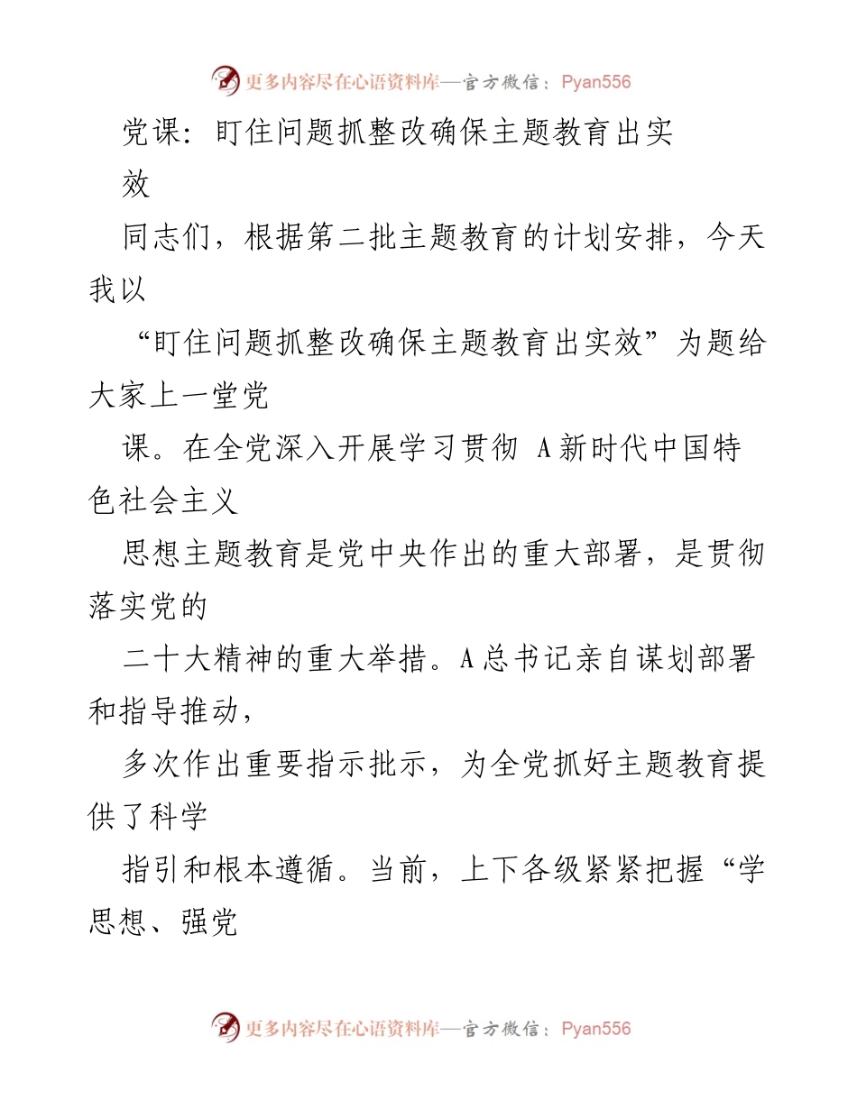 [党课] 主题教育 - 盯住问题抓整改确保主题教育出实效_1.docx_第1页