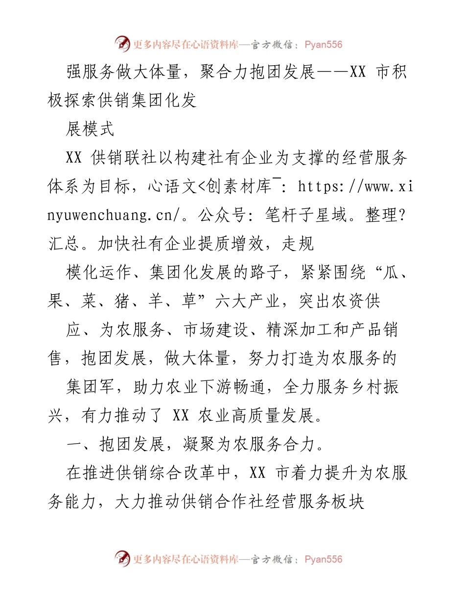 [调研报告] 供销合作 - XX市供销集团化发展模式探索与实践.docx_第1页