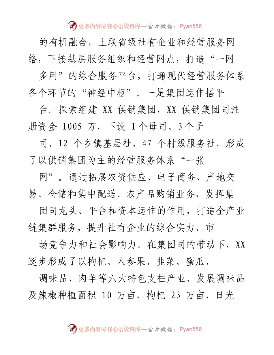 [调研报告] 供销合作 - XX市供销集团化发展模式探索与实践.docx_第2页