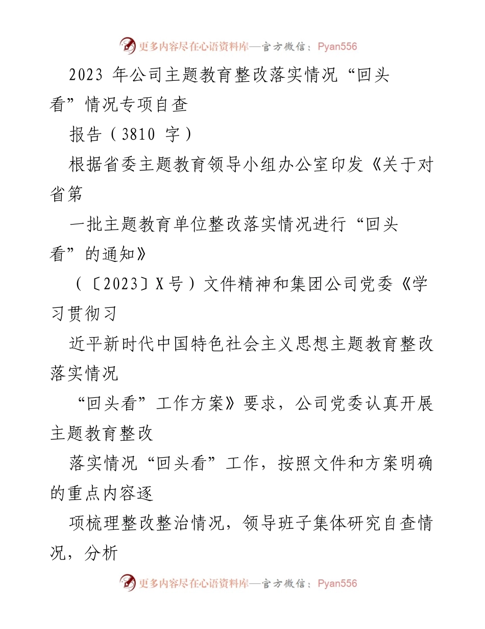 [调研报告] 公司主题教育整改落实 - 2023年主题教育整改落实情况专项自查报告_1.docx_第1页