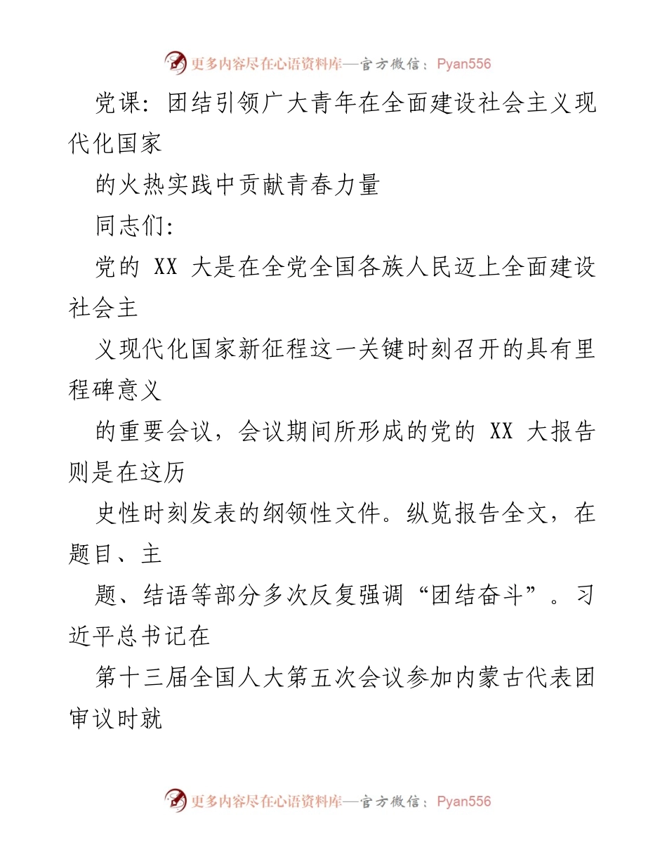 [党课] 青年团结奋斗 - 团结引领青年为社会主义现代化贡献青春力量.docx_第1页