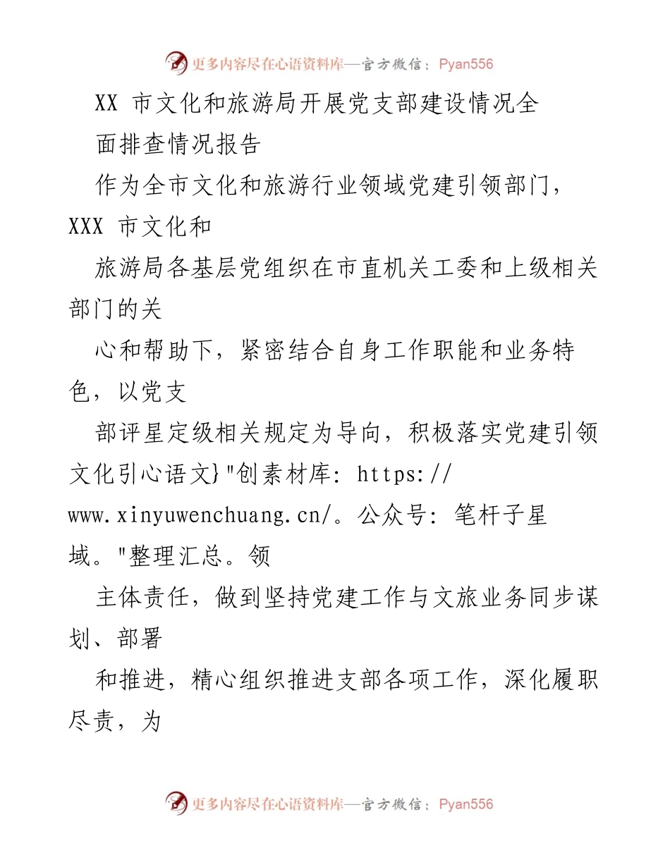 [调研报告] 党建工作 - XX市文化和旅游局党支部建设情况全面排查报告.docx_第1页