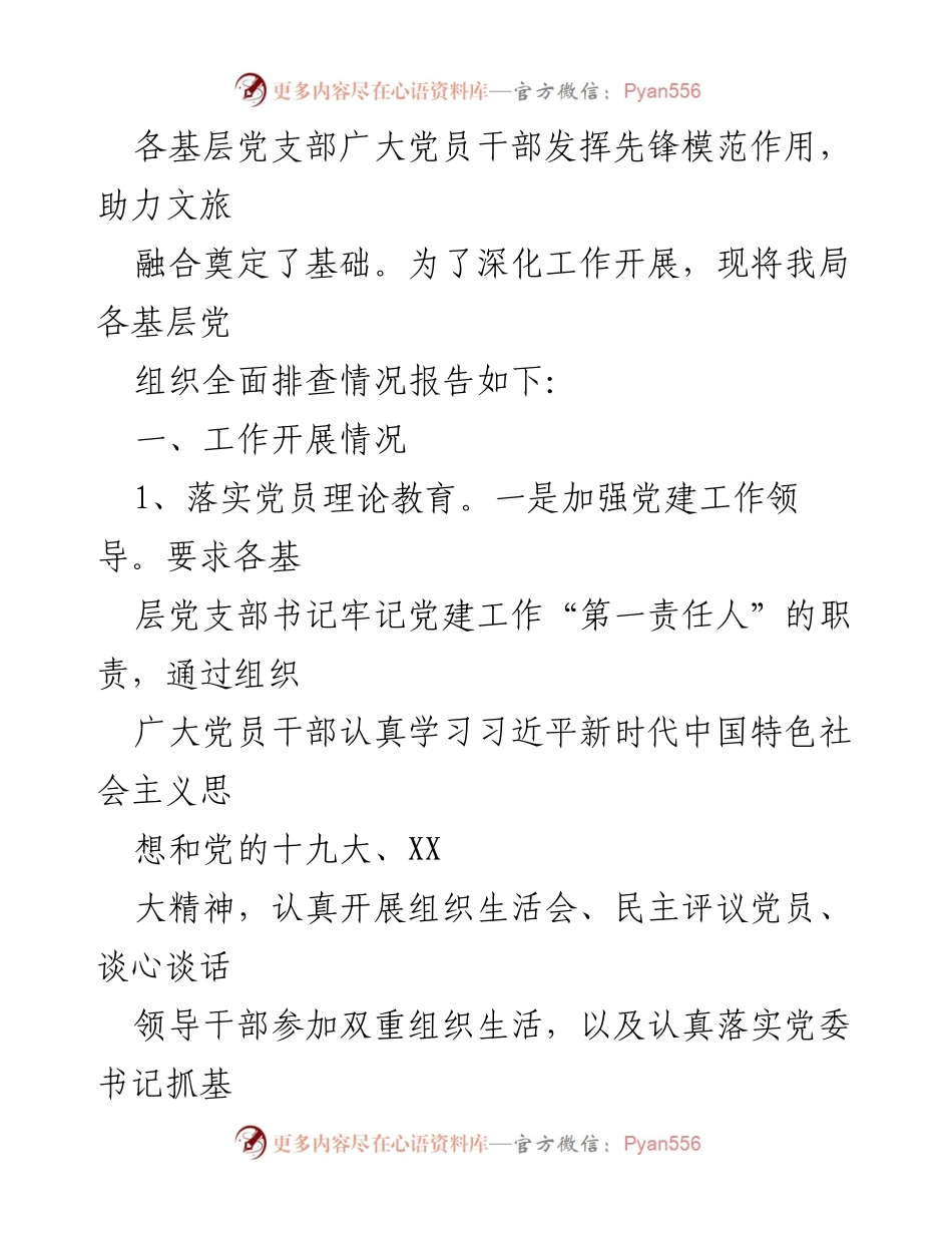[调研报告] 党建工作 - XX市文化和旅游局党支部建设情况全面排查报告.docx_第2页