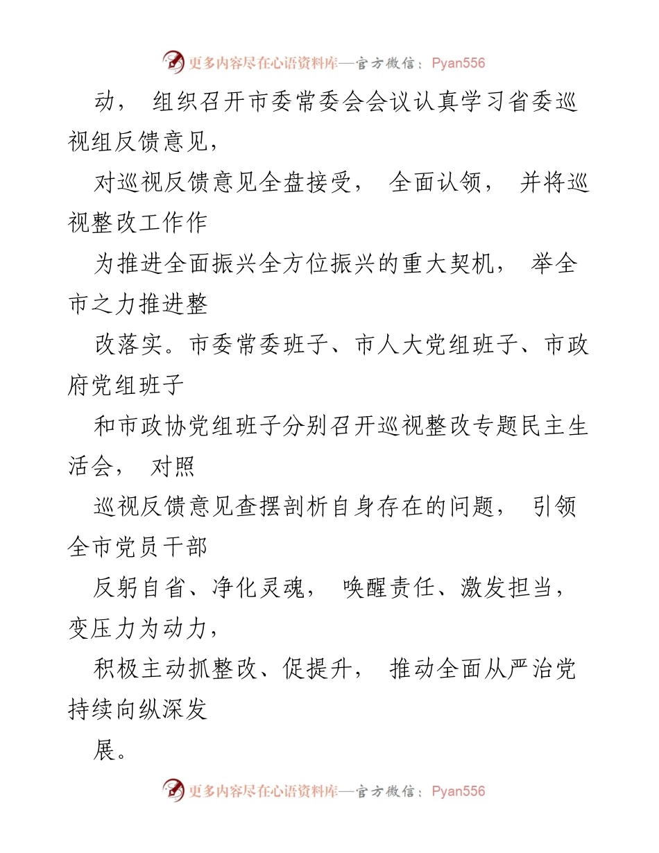 [报告] 巡视整改 - 巡视整改阶段进展情况汇报.docx_第2页