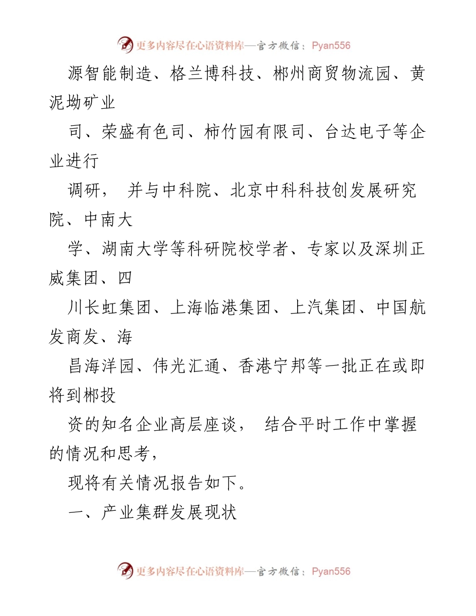 [调研报告] 郴州市产业发展 - 郴州市产业集群发展调研报告.docx_第2页