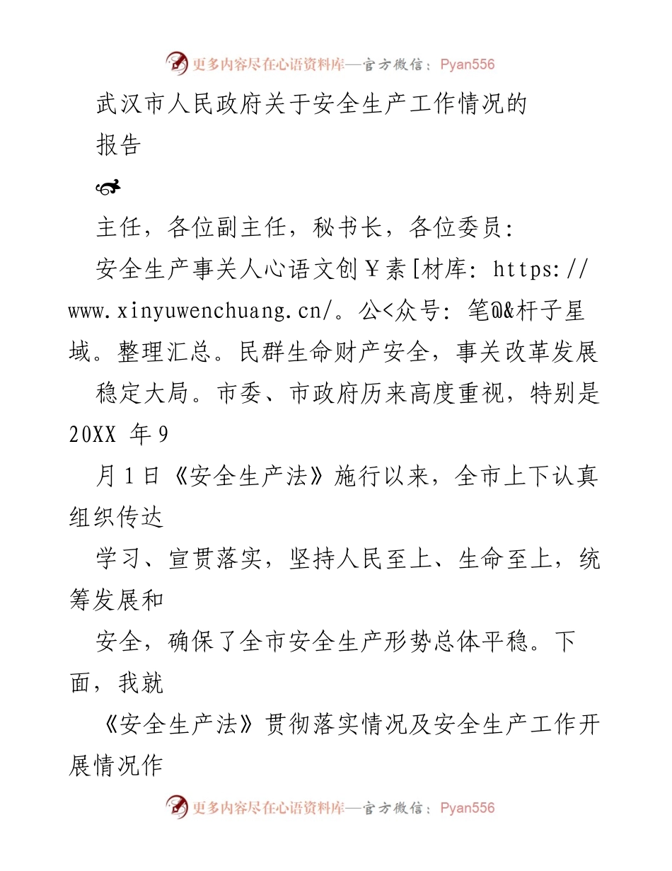 [报告] 武汉市人民政府 - 安全生产工作情况汇报.docx_第1页