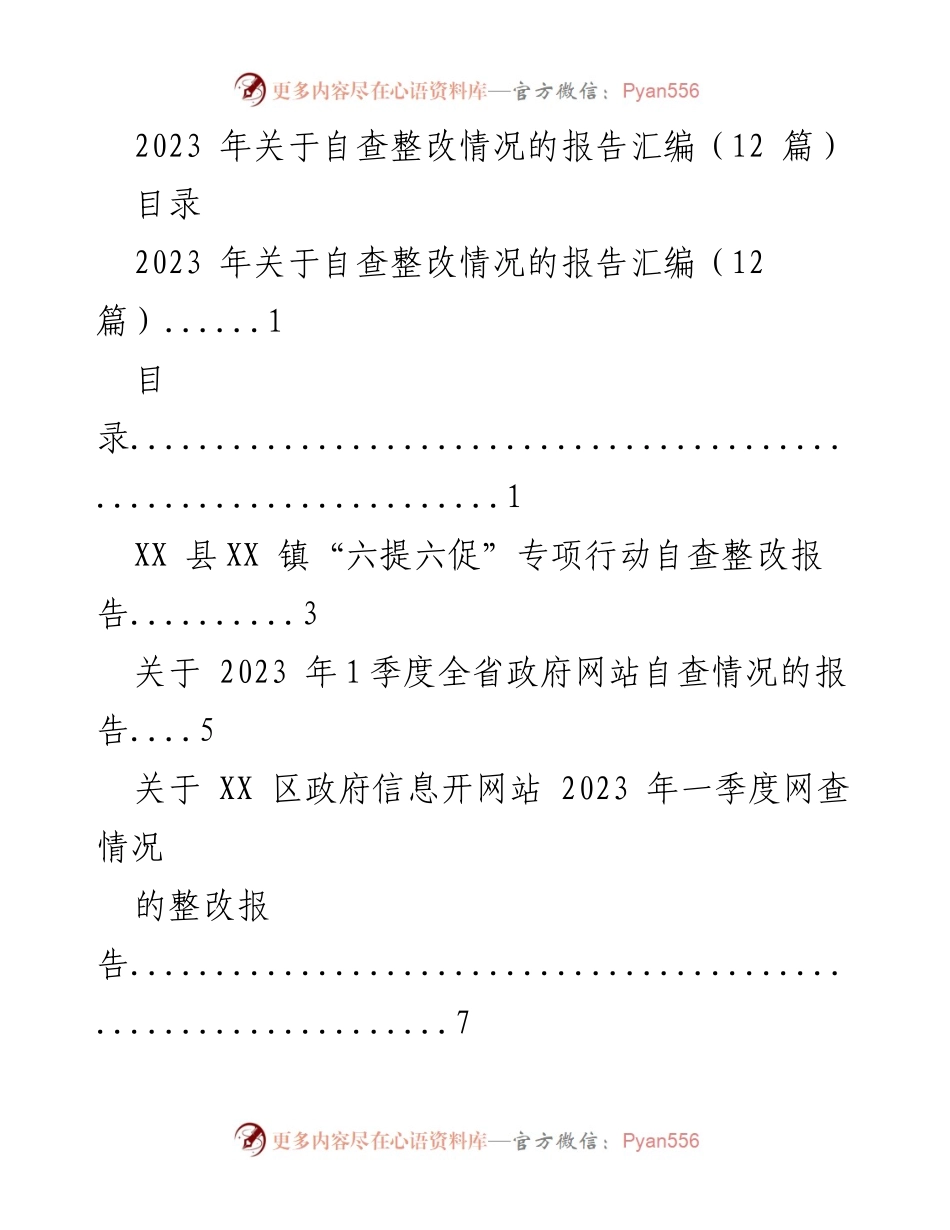 [报告] 自查整改 - 2023年自查整改情况汇编报告.docx_第1页