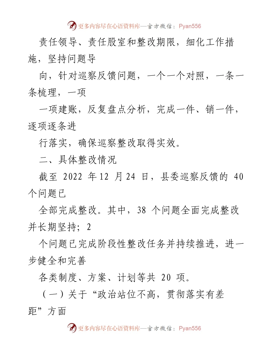[报告] 巡察整改 - XX县商务局党组巡察整改进展情况报告.docx_第2页