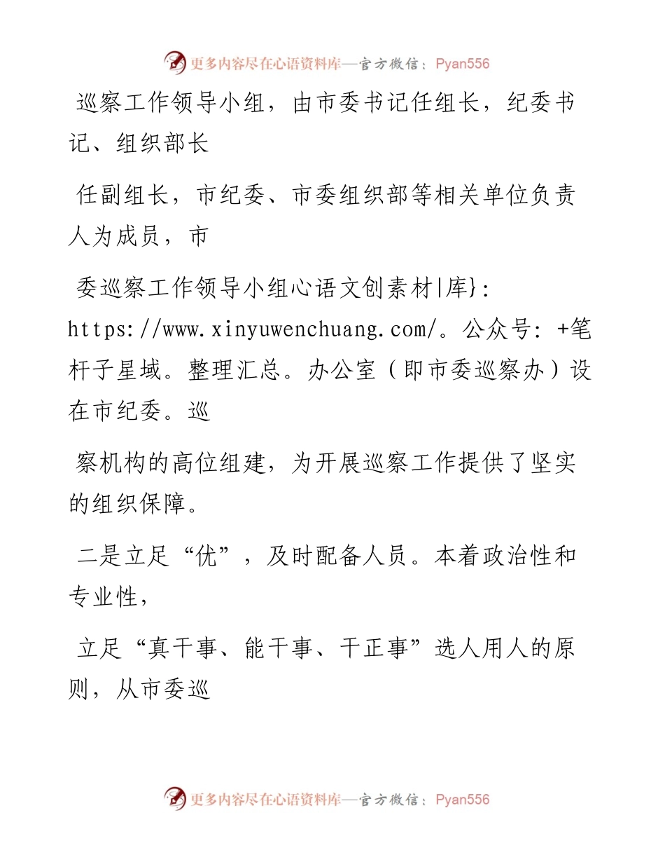 0310笔友分享巡察工作典型经验材料.docx_第2页