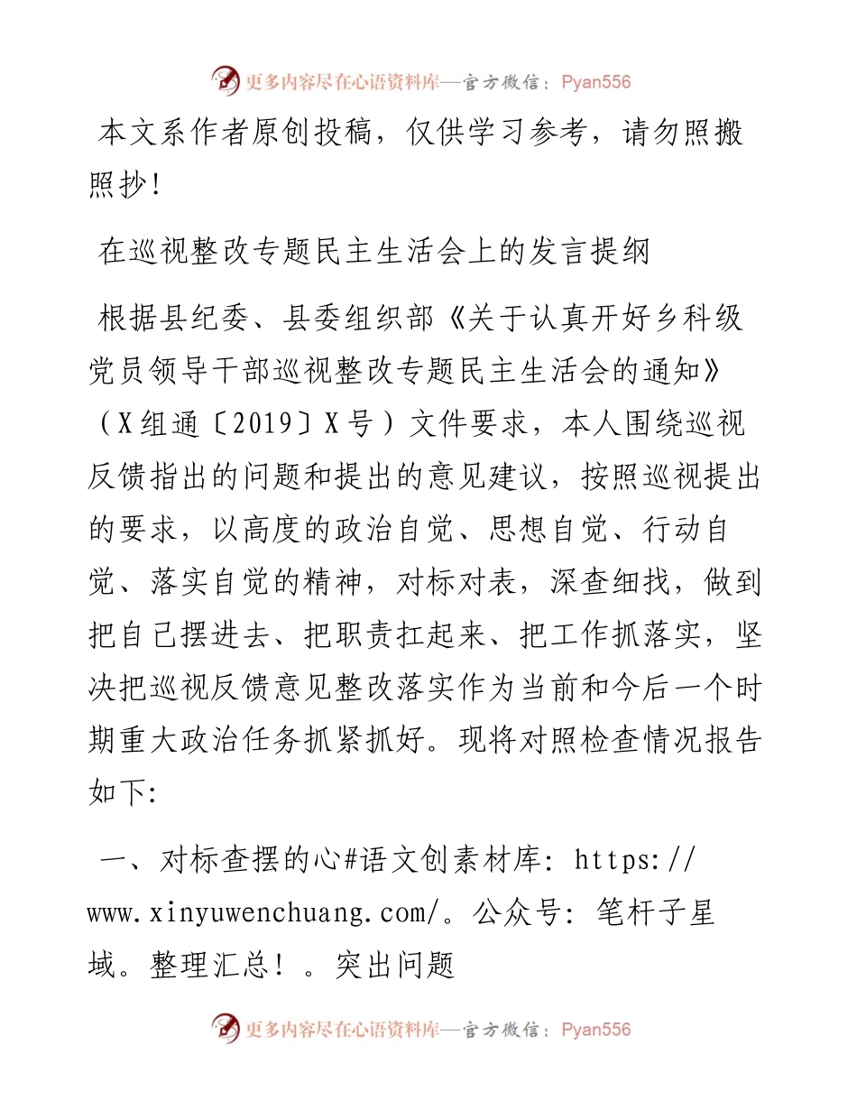 041507-党委书记在巡视整改专题民主生活会上的发言提纲.docx_第1页