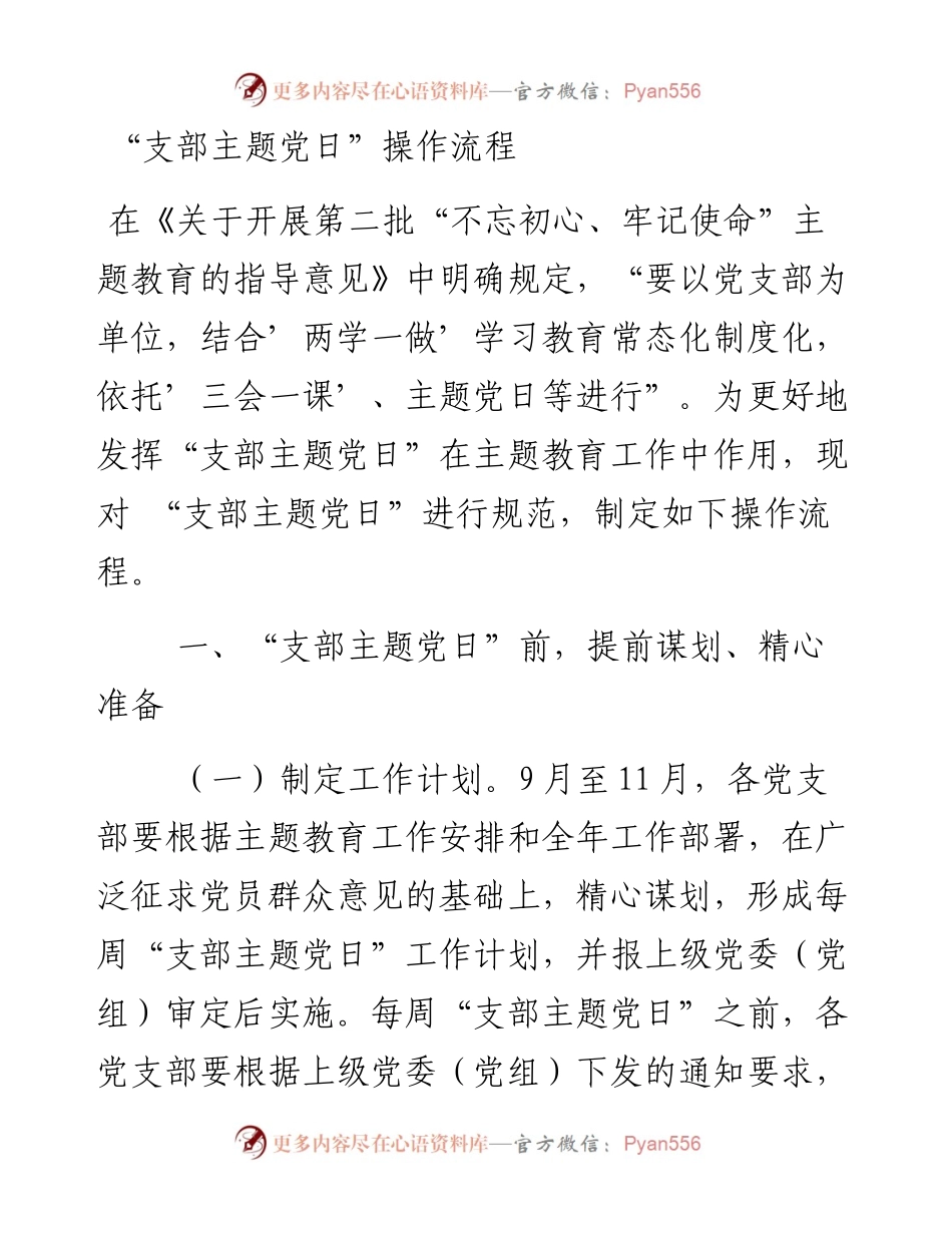 091607县支部主题党日操作流程.docx_第1页